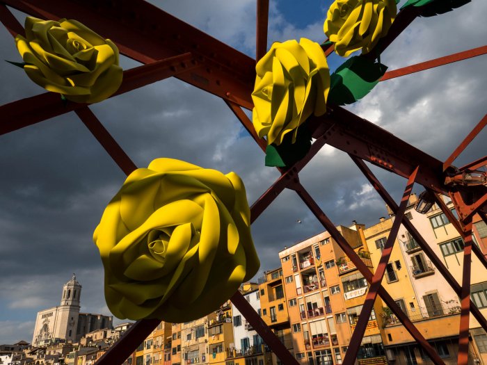 Paisajes evanescentes, la revolución del amarillo